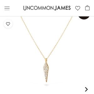 Uncommon James Necklace- Great Condition 💖
